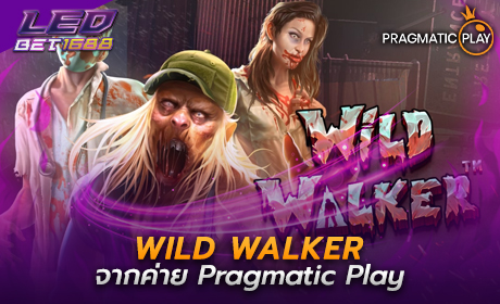 Wild Walker จากค่าย Pragmatic Play