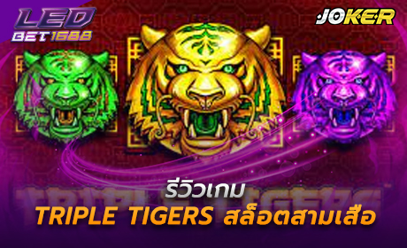 Triple Tigers จาก Joker123