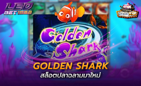 Golden shark Slotxo Cover