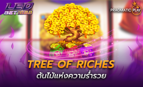 Tree of Riches PP Slot
