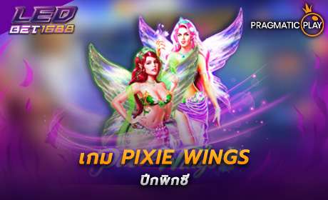 Pixie Wings PP Slot Cover