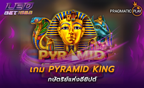 Pyramid King PP Slot Cover