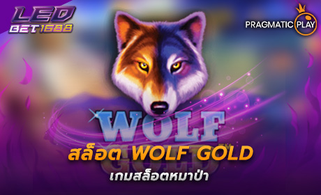 WOLF GOLD PP Slot Cover