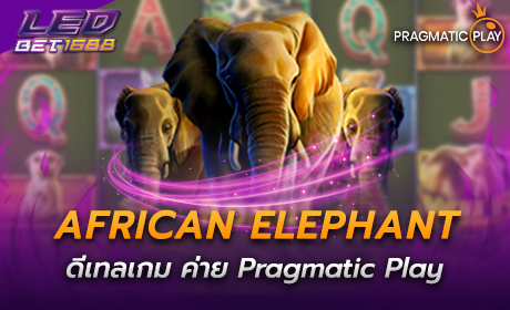 African Elephant ค่าย Pragmatic play