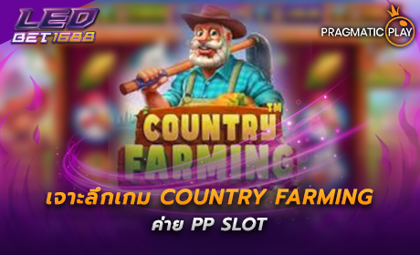 เจาะลึกเกม Country Farming ค่าย PP SLOT