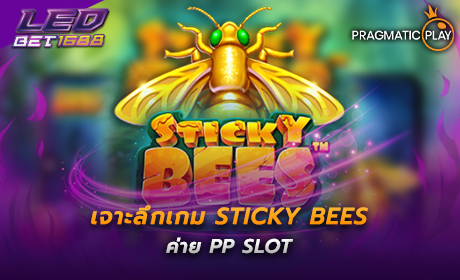 Sticky Bees ค่าย PP SLOT
